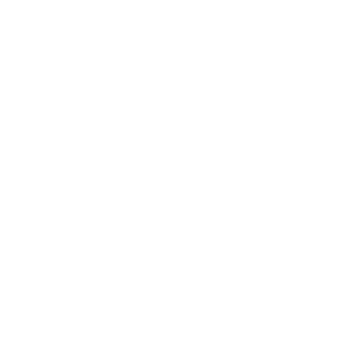 DASHCAMS